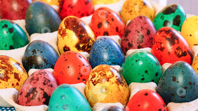 Скачать Разноцветные перепелиные яйца. пасхальный фон фотосток Ozero