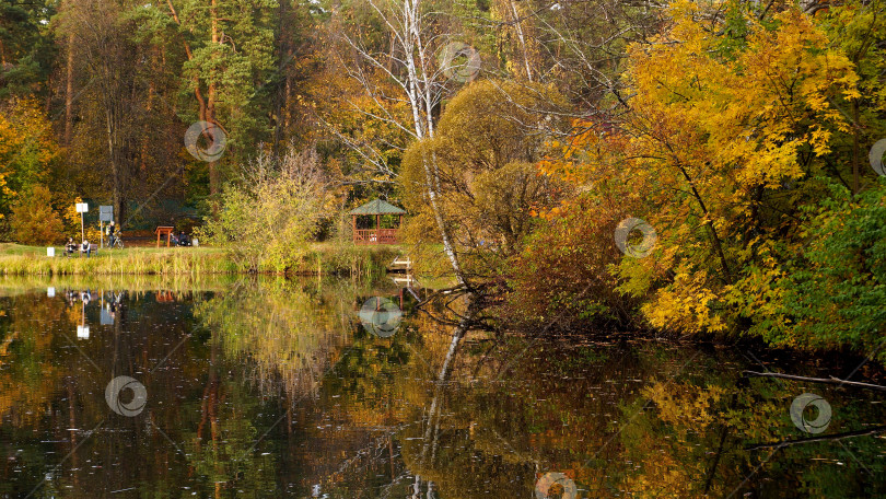 Скачать Осень в Москве. Пейзаж в природном парке "Серебряный Бор". Озеро Бездонное фотосток Ozero