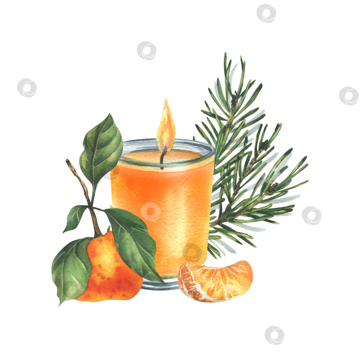 Скачать Оранжевая горящая свеча в стеклянной банке с мандаринами и сосновой веткой. Акварельная иллюстрация, нарисованная от руки. Новогодняя, рождественская композиция, выделенная на белом фоне. фотосток Ozero