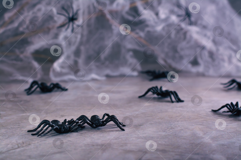 Скачать Фон Хэллоуина черные пауки и паутина на сером фоне фотосток Ozero