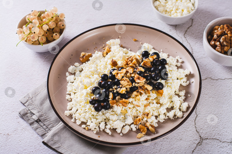 Скачать Домашний творог со свежей черной смородиной и грецкими орехами на фотосток Ozero