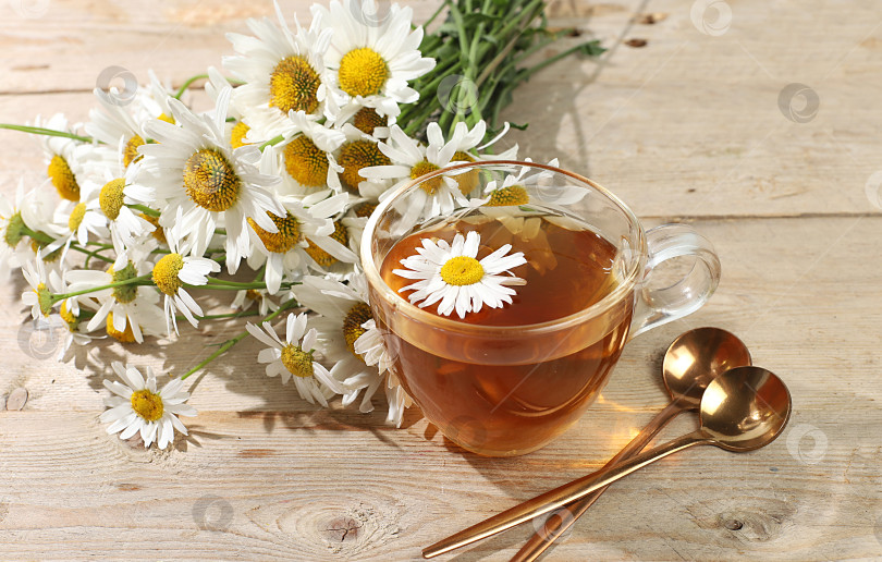 Скачать Ромашковый чай в прозрачной чашке с натуральными мелкими цветками ромашки на светлом деревенском столе, концепция травяного чая и правильного натурального питания, летняя открытка, фотосток Ozero