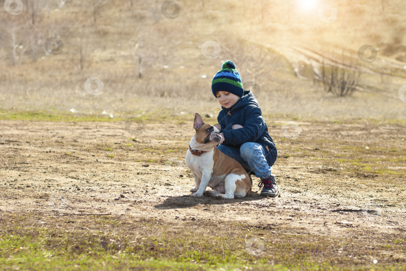 Скачать Образ жизни портрет маленького мальчика, гуляющего и смотрящего на бульдога Фреша солнечным весенним днем в детском природном парке фотосток Ozero