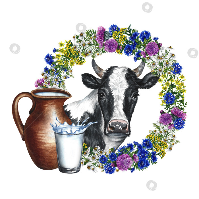 Скачать Портрет коровы и венок из полевых цветов. Керамический кувшин и стакан с молоком. Акварельная иллюстрация, нарисованная от руки. Изолировать. Для дизайна молочных и фермерских продуктов, этикеток и упаковки. фотосток Ozero