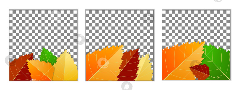 Скачать Осенний фон с осенними яркими листьями и квадратной рамкой на белом фоне. Векторная иллюстрация. Шаблон, верстка, макет для плакатов, брошюр, приглашений, сертификатов фотосток Ozero