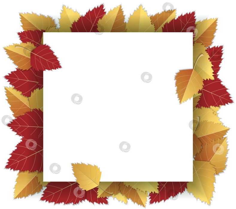 Скачать Осенний фон с осенними яркими листьями и квадратной рамкой, белый лист бумаги на белом фоне. Векторная иллюстрация. Шаблон, верстка, макет для плакатов, брошюр, приглашений, сертификатов фотосток Ozero