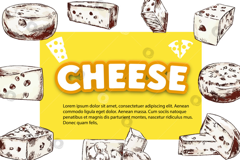 Скачать Плакат эко-еды с этикеткой сыра, баннерное меню продукта. Векторная иллюстрация фотосток Ozero