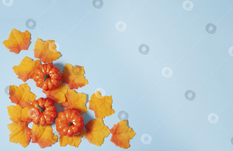 Скачать Оранжевая композиция из ярких осенних листьев и тыкв на ярком бумажном фоне фотосток Ozero