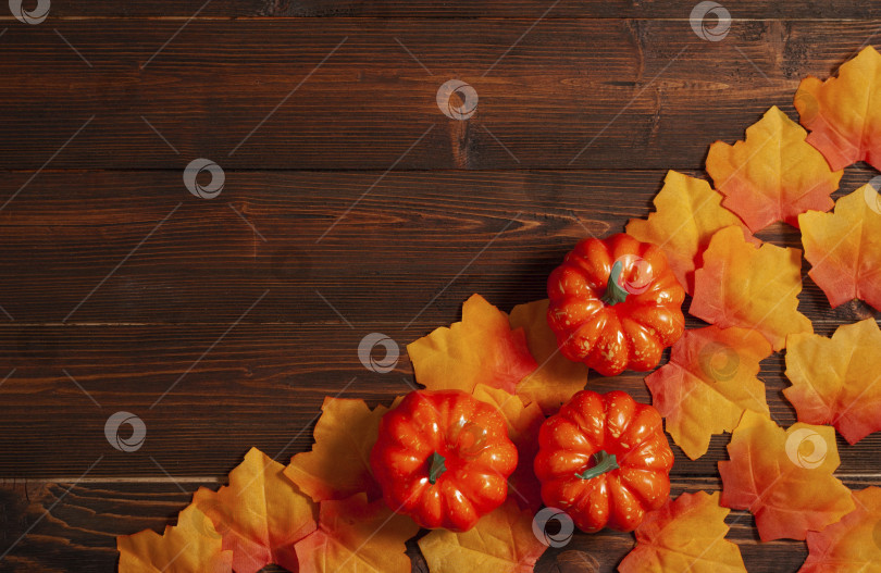 Скачать Оранжевая композиция из ярких осенних листьев и тыкв на коричневом деревянном фоне фотосток Ozero
