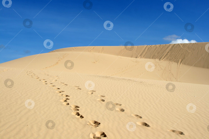 Скачать Песчаные дюны  со следами ног фотосток Ozero