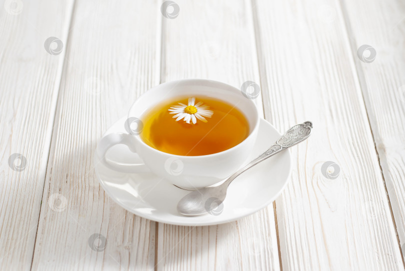 Скачать Белая чашка травяного чая с цветами ромашки на белом деревянном фоне. Натуральная органическая альтернативная медицина фотосток Ozero