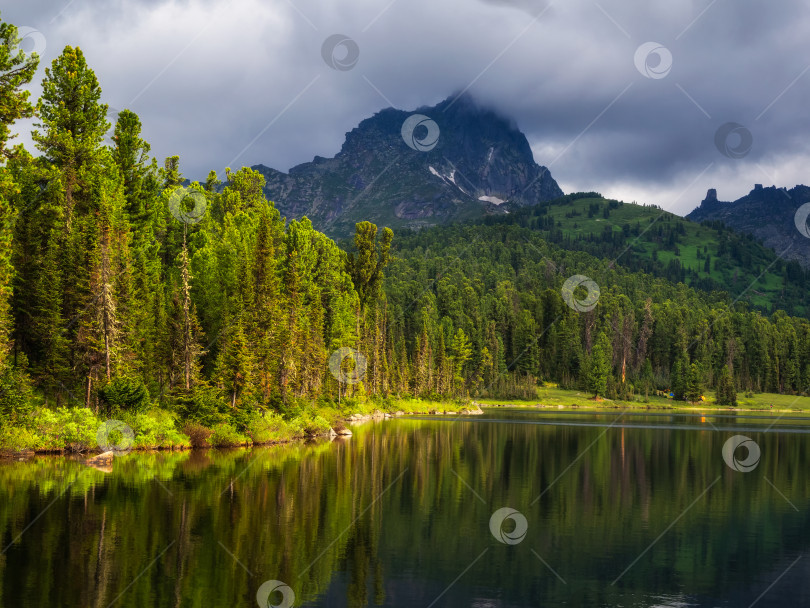 Скачать Озеро Светлое в Ергаках летним утром среди тайги. фотосток Ozero