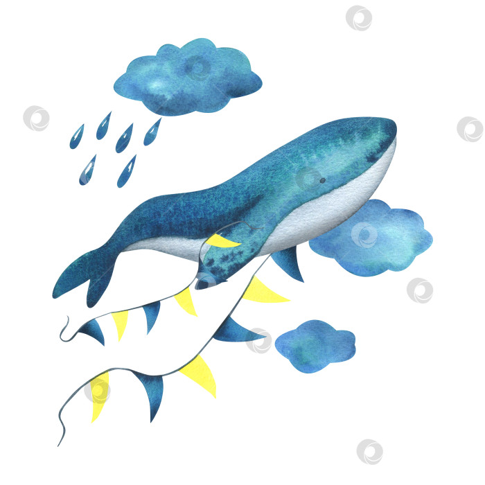 Скачать Бирюзовый кит в облаках с гирляндой флагов среди облаков с каплями дождя. Акварельная иллюстрация, нарисованная от руки в простом детском стиле. Изолированная композиция на белом фоне. фотосток Ozero