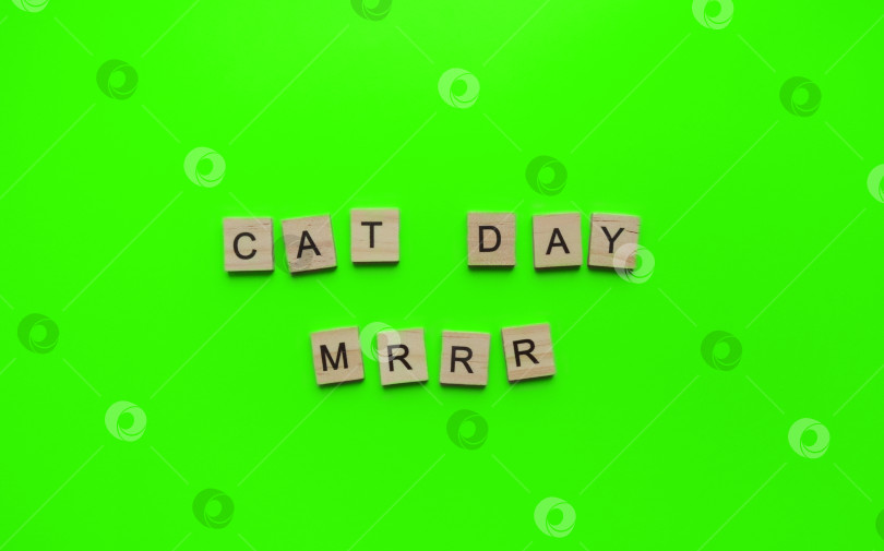 Скачать 8 августа, Всемирный день кошек, минималистичный баннер, надпись на ву фотосток Ozero