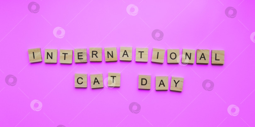 Скачать 8 августа, Всемирный день кошек, минималистичный баннер, надпись на ву фотосток Ozero