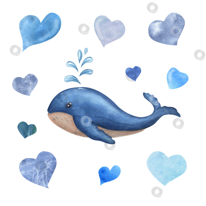 Скачать Синий мультяшный кит среди воды в виде разных сердечек. Акварельная иллюстрация, выделенная на белом фоне. Для украшения детского праздника, книг, канцелярских принадлежностей фотосток Ozero