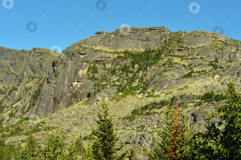 Скачать Взгляд поверх верхушек кедров на высокий отвесный утес солнечным летним днем. фотосток Ozero