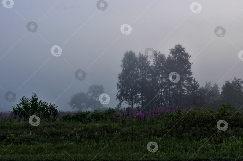 Скачать Туманное утро в леу на Урале. фотосток Ozero