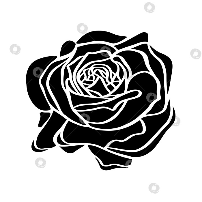 Скачать Черный силуэт шаблона розы для декора. фотосток Ozero