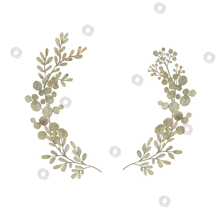 Скачать Свадебная монограмма из акварельных листьев. Акварельный лист в круглой рамке, нарисованный от руки шаблон. фотосток Ozero