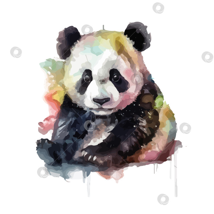 Скачать Акварельная панда - милое животное. Меховой портрет бамбуковой забавной черно-белой панды, изолированной на белом фоне. фотосток Ozero