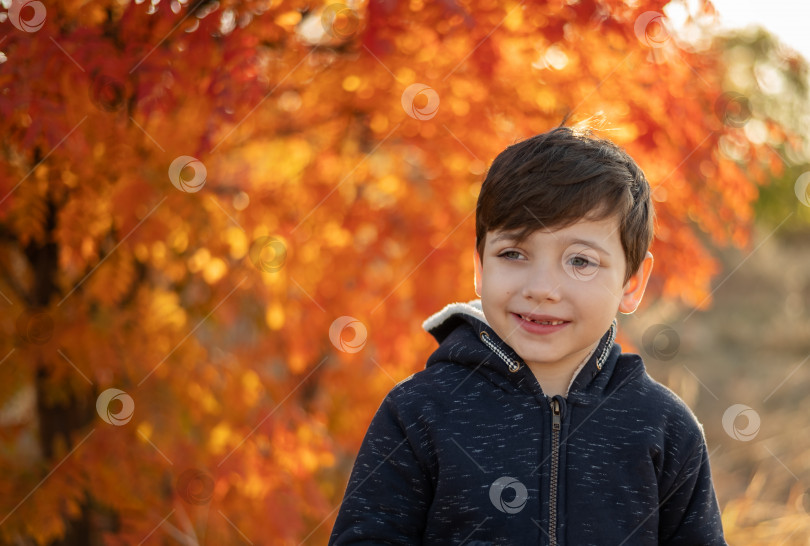 Скачать Маленький улыбающийся малыш, гуляющий по осеннему парку с оранжевыми и желтыми листьями на деревьях фотосток Ozero