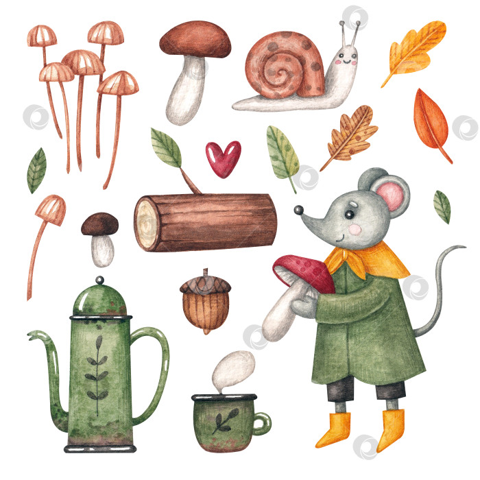 Скачать Коллекция с мышью, грибами, чайником, листьями и улиткой. фотосток Ozero