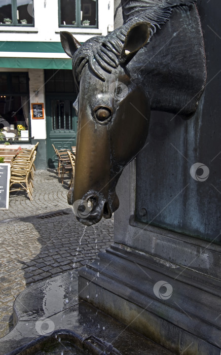 Скачать Фонтан в виде лошадиной головы. фотосток Ozero