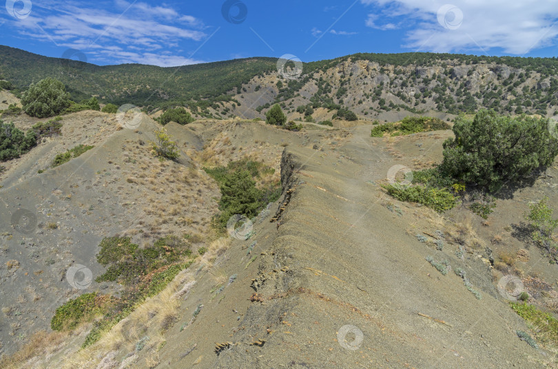 Скачать Тропинка в крымских горах фотосток Ozero