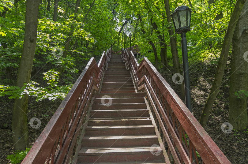 Скачать Лестница, поднимающаяся из оврага. фотосток Ozero
