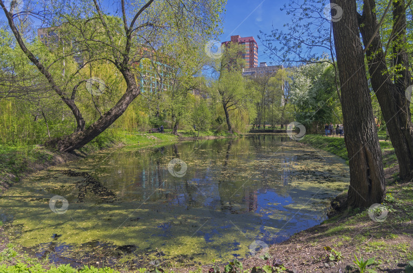 Скачать Старый пруд в начале мая. фотосток Ozero