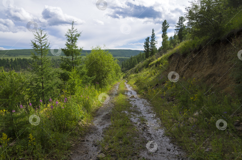 Скачать Узкая грунтовая дорога в горах. фотосток Ozero