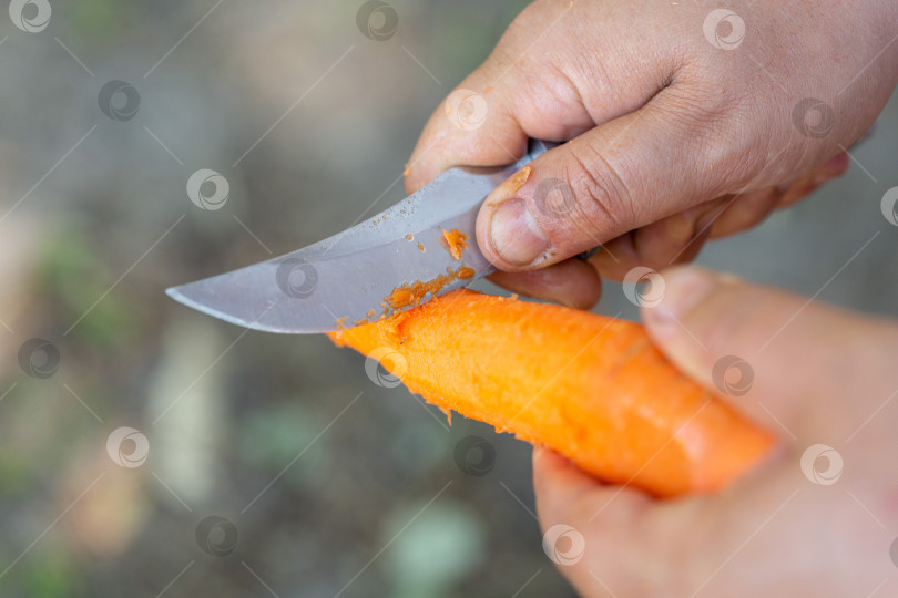 Скачать Мужчина чистит морковь ножом, готовя овощи в полевых условиях фотосток Ozero