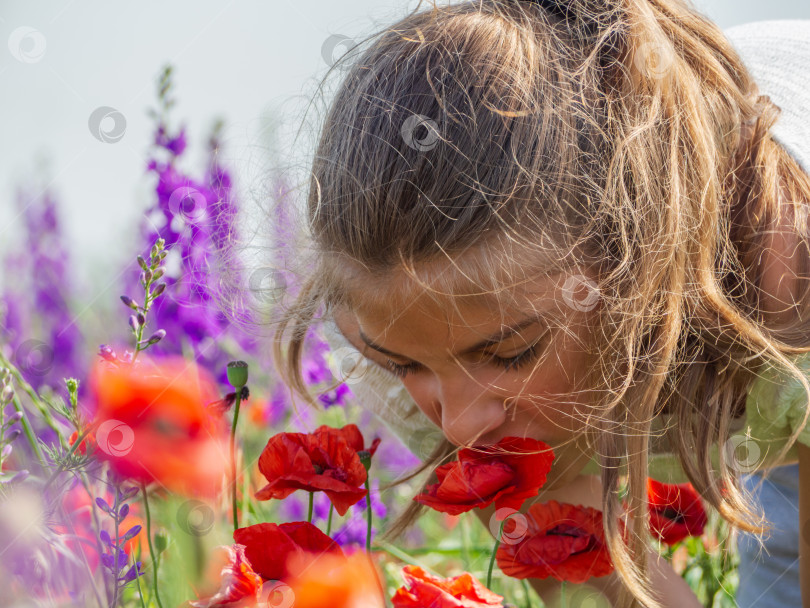 Скачать Красивая девушка в поле нюхает цветок красного мака. Закрыть-U фотосток Ozero