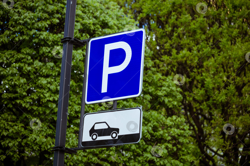 Скачать знак парковки для автомобилей на естественном фоне фотосток Ozero