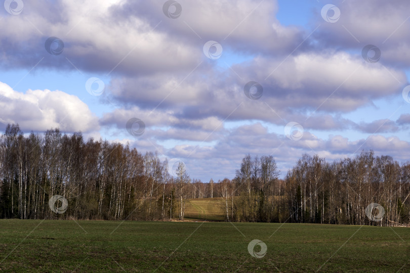Скачать Поле и лес на фоне весеннего облачного неба фотосток Ozero