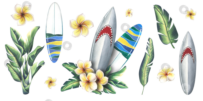 Скачать Доски для серфинга с изображением акулы и полосатым принтом с цветами франжипани и тропическими листьями. Акварельная иллюстрация, нарисованная от руки. Набор изолированных элементов на белом фоне фотосток Ozero