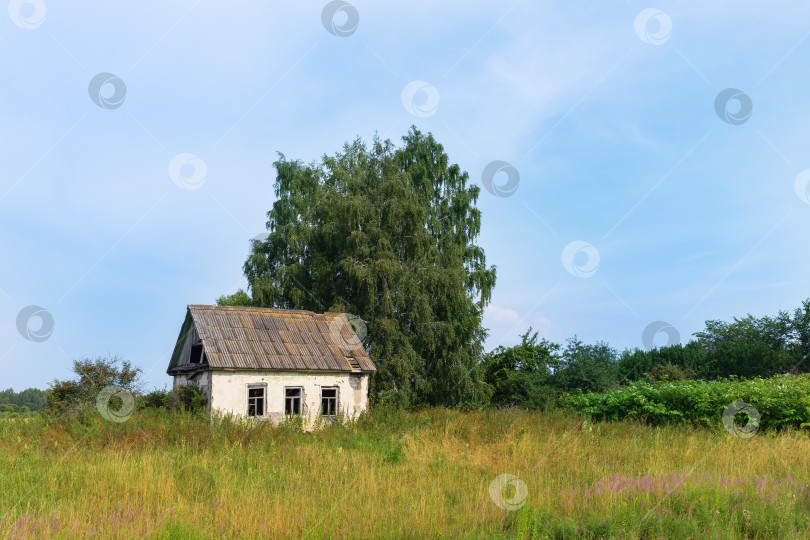 Скачать Старый заброшенный дом в поле фотосток Ozero