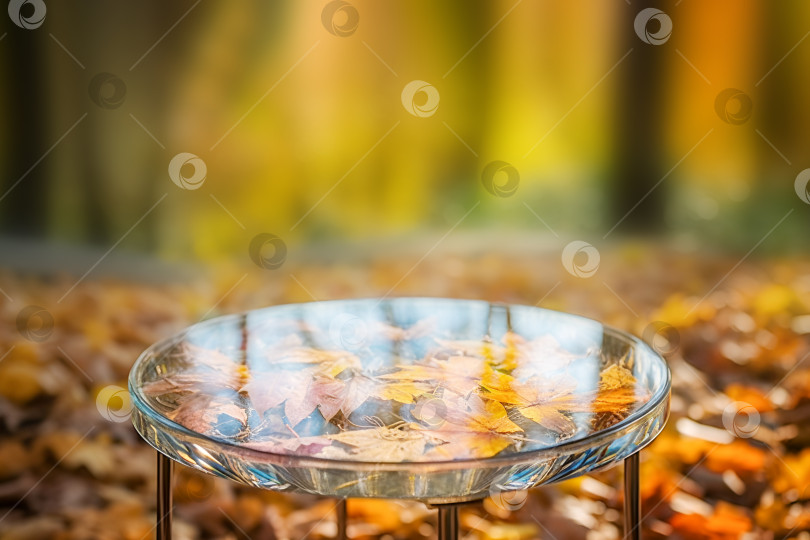 Скачать Пустой стеклянный стол на размытом фоне осеннего паркового пейзажа с осенними листьями фотосток Ozero