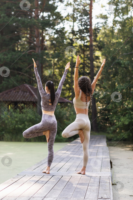 Скачать Две женщины выполняют упражнение врикшасана, позу дерева, стоят на деревянном мосту в парке спиной к камере фотосток Ozero
