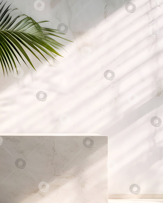 Скачать Мраморный пустой подиум напротив мраморной стены с пальмовым листом и подсветкой окна фотосток Ozero