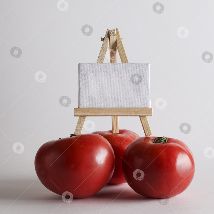 Скачать красный спелый помидор и белая доска для текста на белом фоне. Домашний овощ, собранный на органической ферме. Ингредиенты, рецепты, стиль кулинарной книги.площадь фотосток Ozero