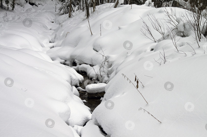 Скачать Маленький ручей в зимнем лесу. фотосток Ozero