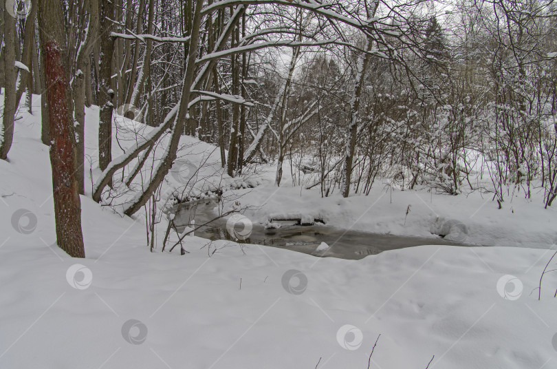 Скачать Ручей в зимнем лесу. фотосток Ozero