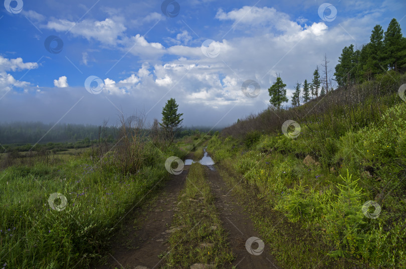 Скачать Узкая проселочная дорога в тумане. фотосток Ozero