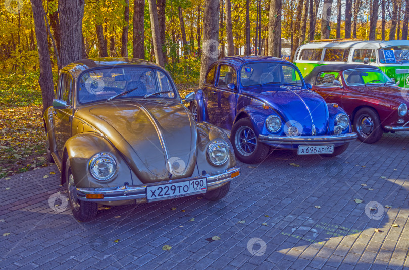 Скачать Два автомобиля Volkswagen Beetle фотосток Ozero