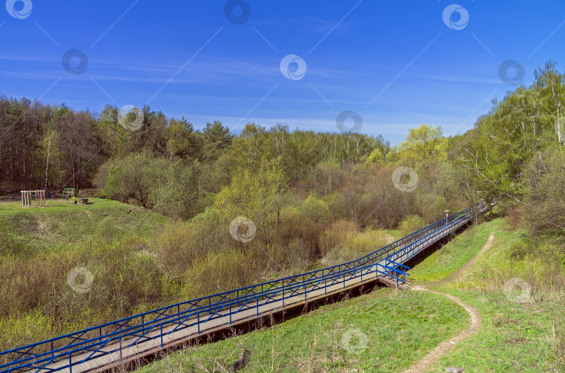 Скачать Пешеходный мост через болотистый овраг. фотосток Ozero