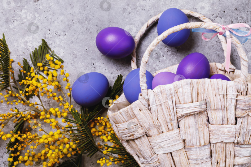 Скачать Пасхальные яйца, украшенные разными цветами, с веткой мимозы на столе, вид сверху фотосток Ozero