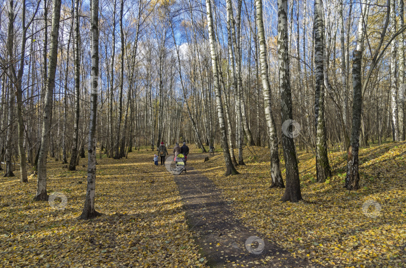 Скачать Пешеходная дорожка в осеннем парке. фотосток Ozero