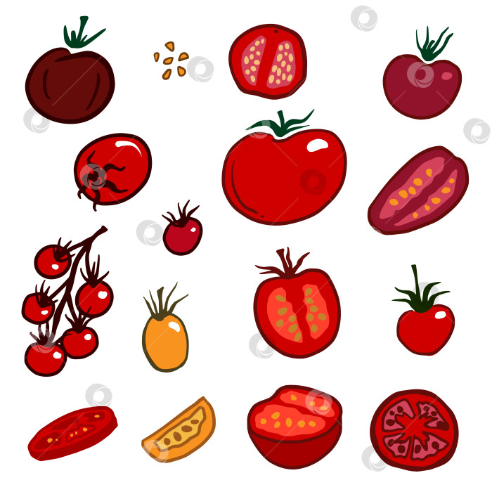Скачать Свежие красные помидоры, расположенные изолированно на белом фоне. фотосток Ozero